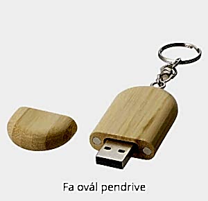 Fa ovál pendrive